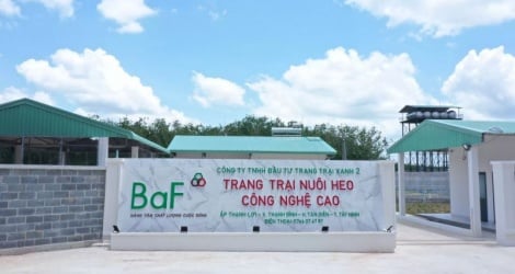 BaF Vietnam собирается выпустить 65 миллионов акций