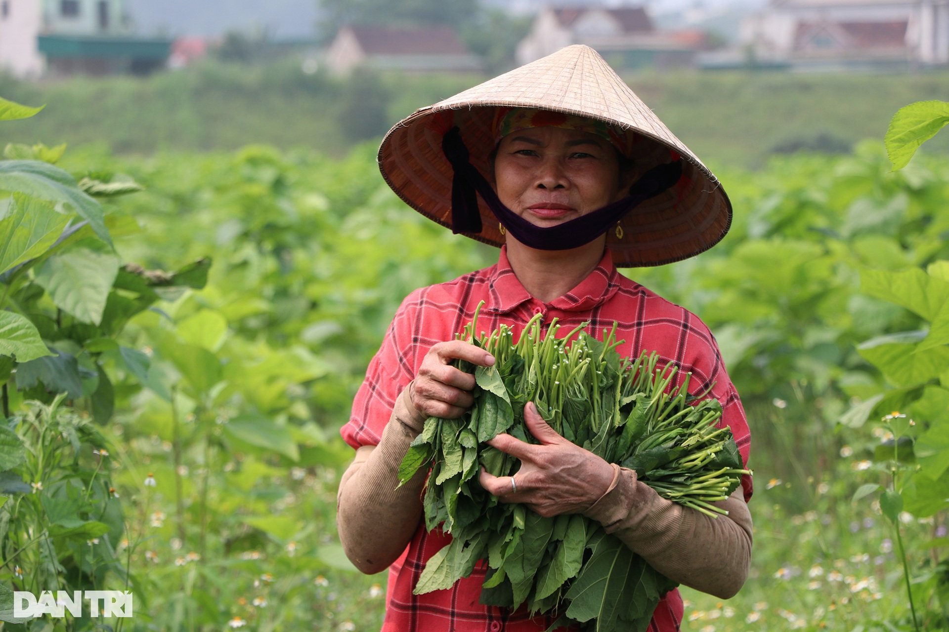 Lãi kép từ nuôi con khó chiều, nằm điều hòa - 12