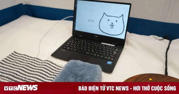 Une entreprise japonaise transforme toutes les surfaces en surfaces tactiles, même les animaux en peluche