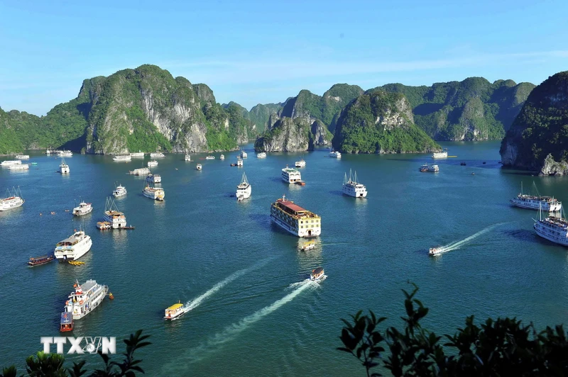 La bahía de Ha Long y su recorrido de 30 años hasta ser reconocida como Patrimonio Natural Mundial