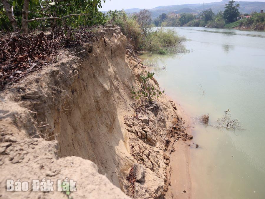 La sección del río Krong No que atraviesa la comuna de Nam Ka, distrito de Lak, ha sufrido graves deslizamientos de tierra y muchas áreas de tierras de producción popular han sido arrasadas.