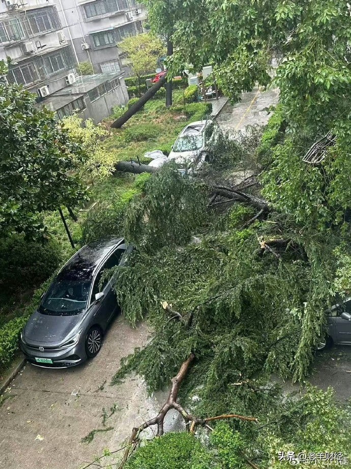 台風ベビンカが中国上海市を襲う 写真4