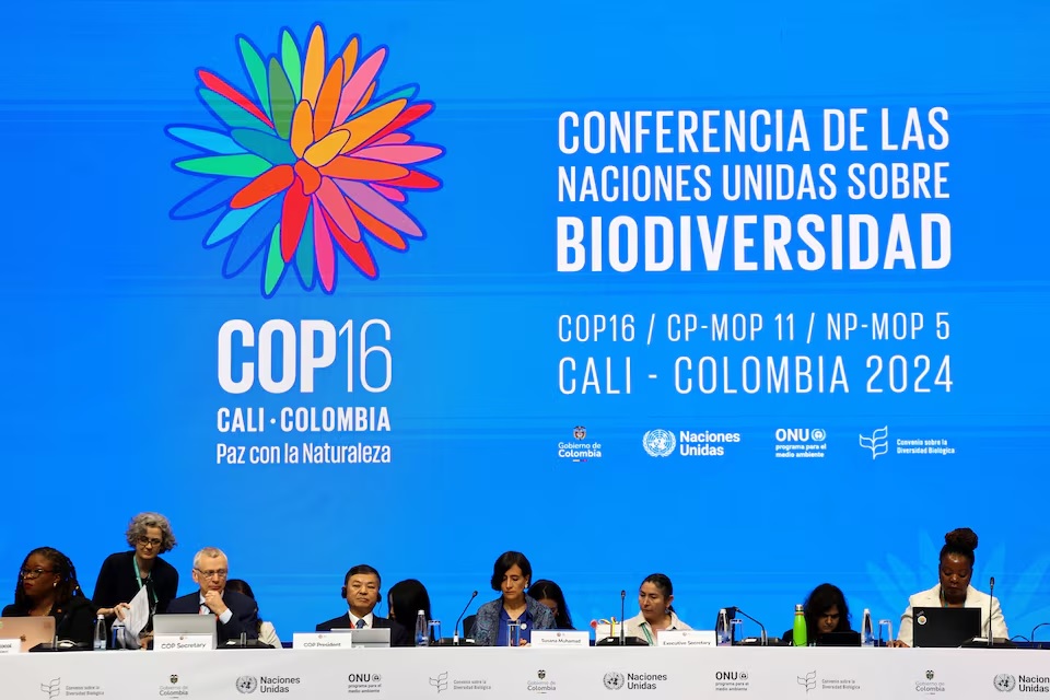 Cop16 biodiversity conference calls for financial contributions to protect nature image 1