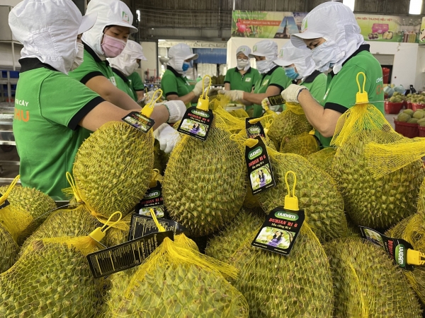 Les exportations de fruits et légumes sont sur le point d'atteindre la barre des 6 milliards de dollars