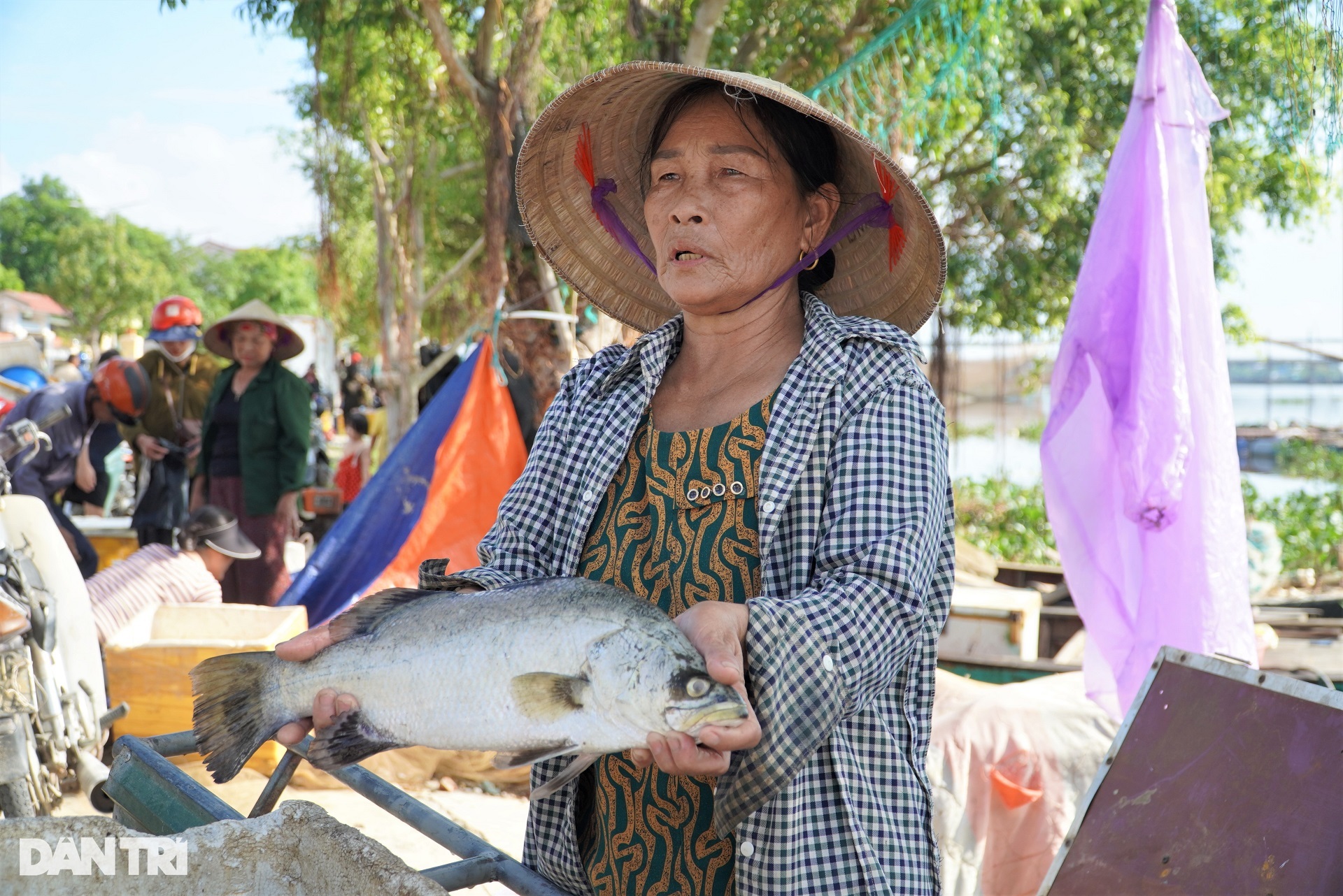 Hàng chục tấn cá lồng chết phơi bụng, người nuôi điêu đứng - 4