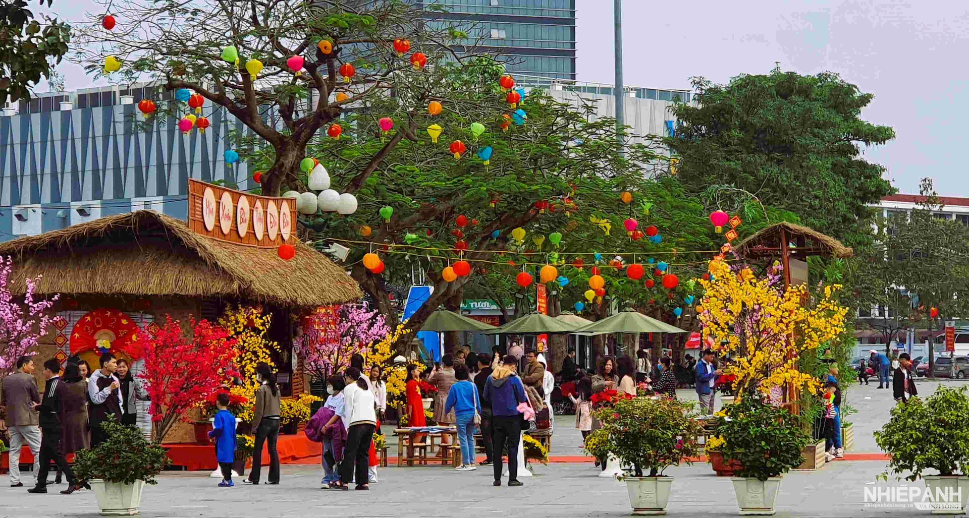 W_10.spring-on-the-northern-wall-with-the-airy-space-of-a-beautiful-house-is-a-nearby-destination-for-citizens-of-Vinh-city-and-tourists-to-read-spring-newspaper-and-write-thu-phap.jpg