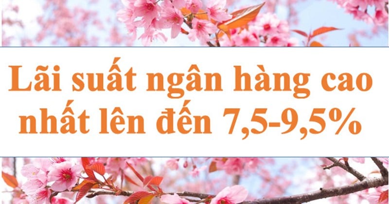 Cao nhất lên đến 7,5-9,5%