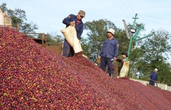 Landwirtschaft hat drei weitere Milliarden-Exportgruppen