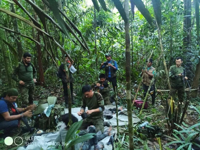 Überlebenstechniken helfen 4 kolumbianischen Kindern, mehr als 5 Wochen im Amazonas-Regenwald zu überleben. Foto 1