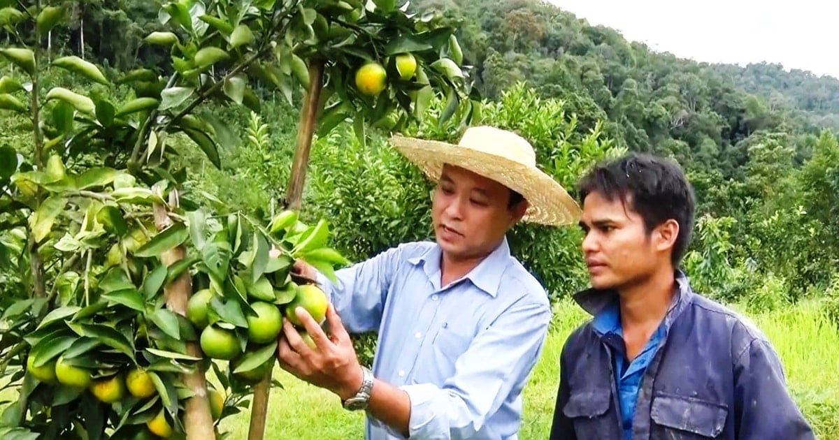 Dám nghĩ, dám làm, dám thay đổi