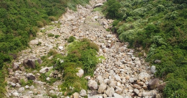 Upstream of Luong stream in Da Nang: Full of rocks