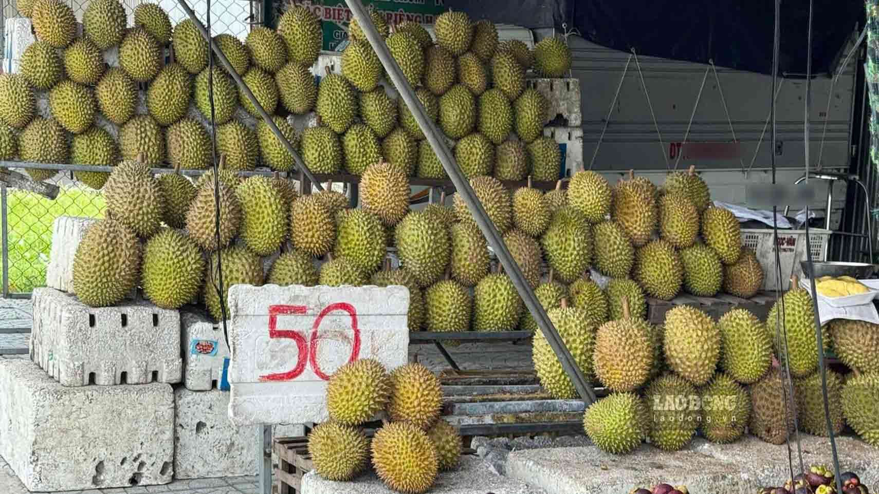 يتراوح سعر الدوريان في مدينة كان ثو بين 40,000 - 80,000 دونج/كجم، حسب النوع. الصورة: كيو فونج