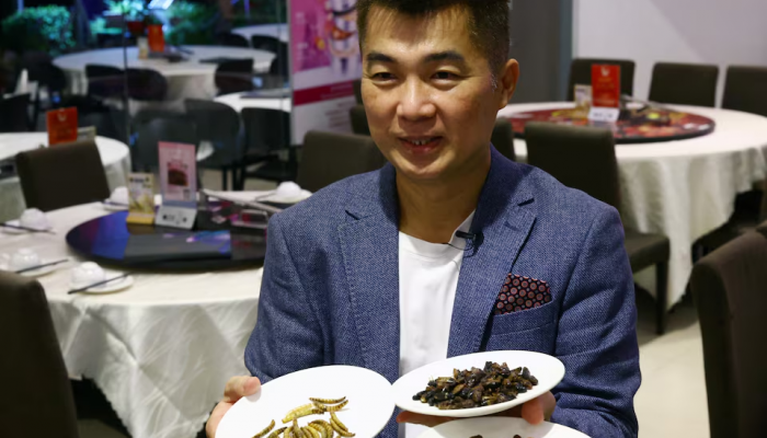 Insect dishes attract diners in Singapore