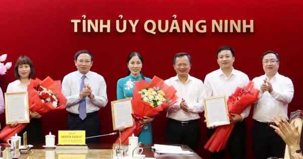 Quang Ninh nombra a tres subdirectores del departamento mediante examen