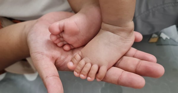 Dejar el trabajo para cuidar al niño para evitar la escena de la nuera discutiendo con su suegra.