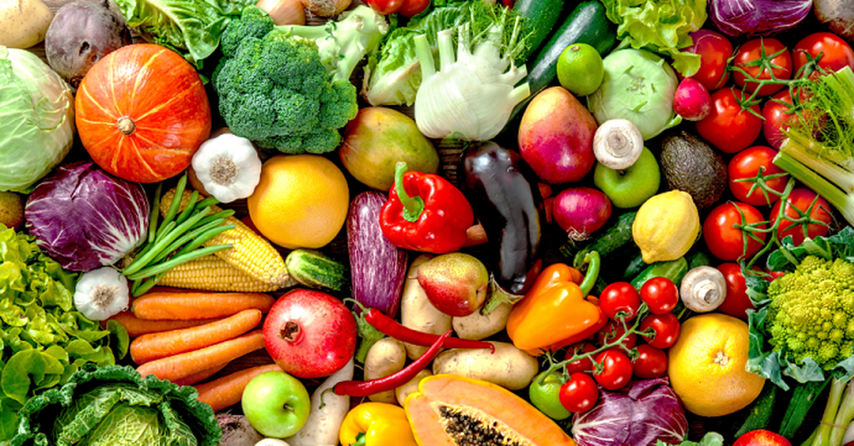 Experten zeigen, wie man eine wissenschaftlich fundierte, gesunde vegetarische Ernährung plant