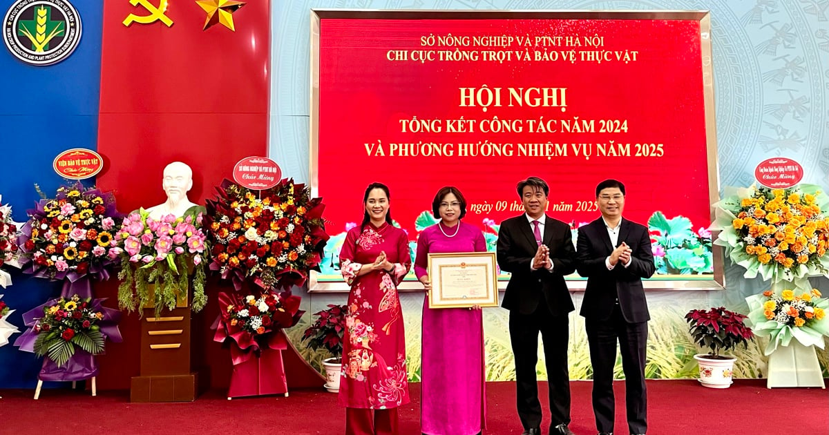 Hanoi Department of Crop Production and Plant Protection received a Certificate of Merit from the Ministry of Agriculture and Rural Development.