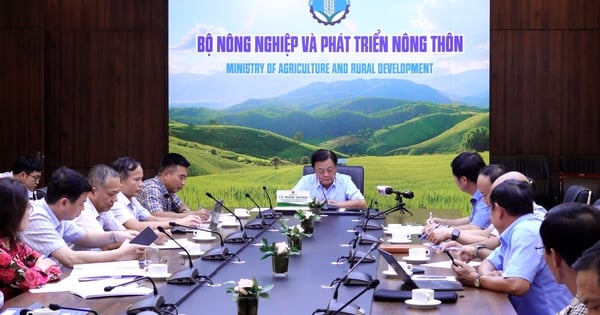 Ca Mau, Dong Thap, An Giang propose to build landslide prevention works, highways, and commercial housing