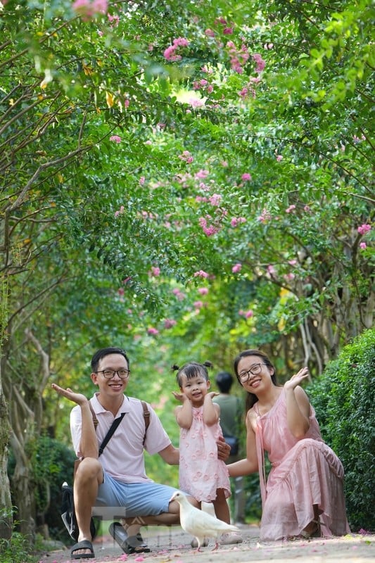 Genießen Sie die Schönheit der Goldlacke, die die Straßen von Hanoi bedecken. Foto 4