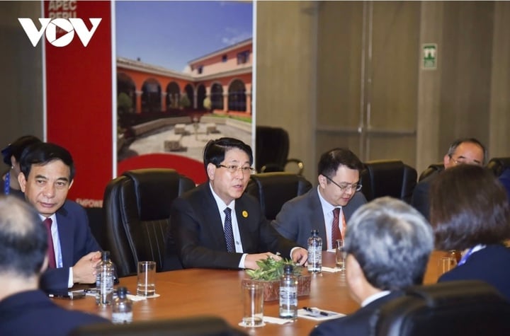 Präsident Luong Cuong spricht bei dem Treffen.