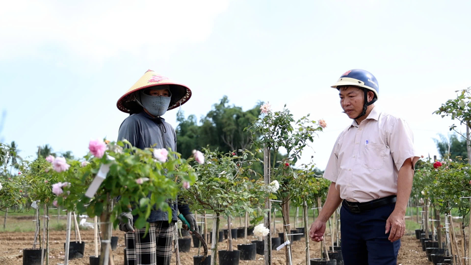 La gente de Nghia Ha cultiva una variedad de flores para satisfacer la demanda del mercado.