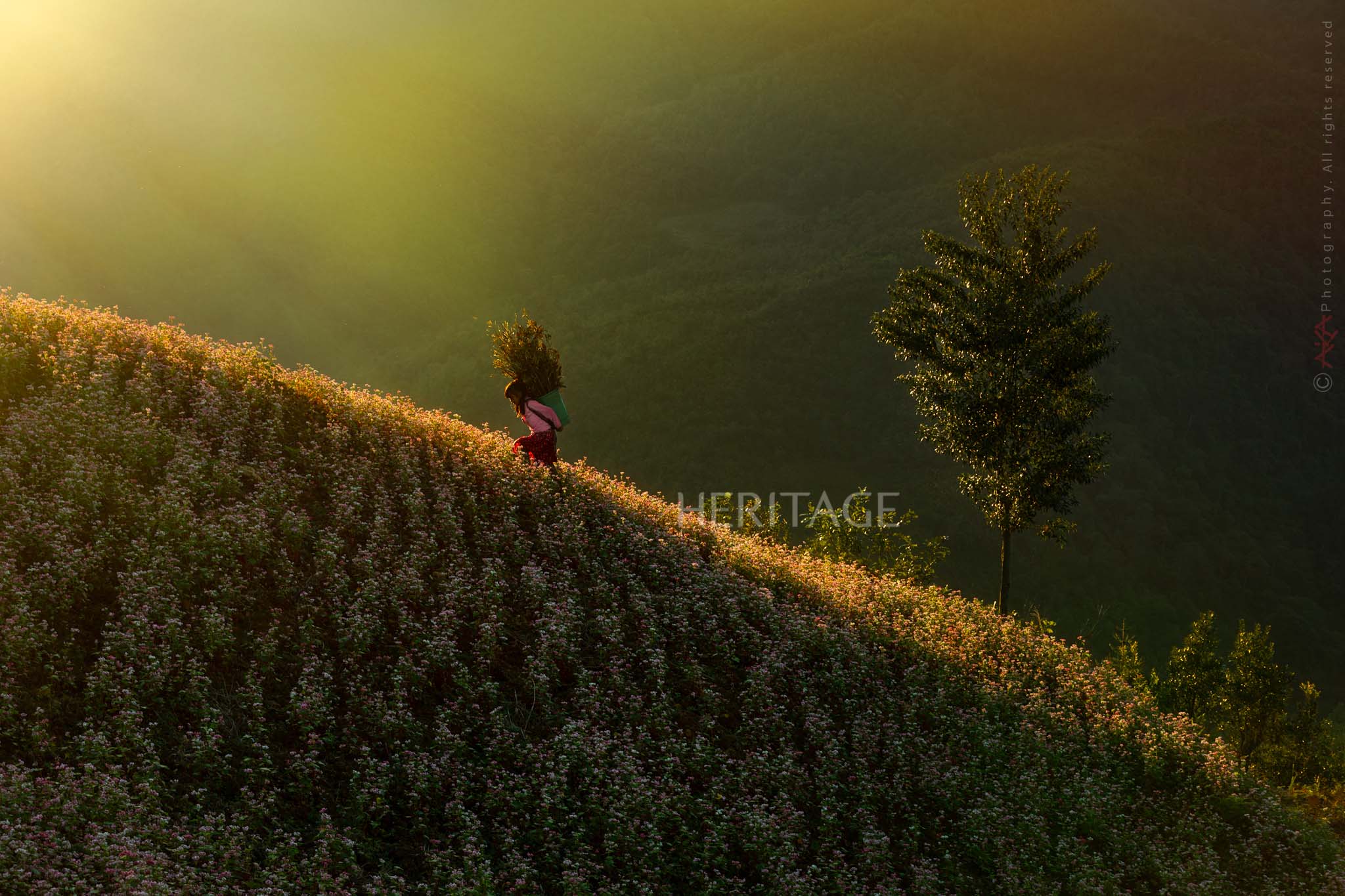 The beauty of Vietnam through the perspective of photographer Le Viet Khanh