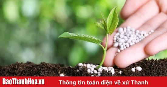 Vi phạm hành chính về phân bón bị phạt tới 200 triệu đồng