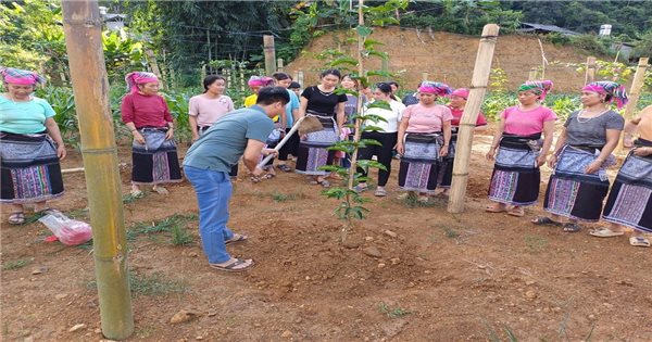 Nhận diện thực trạng kinh tế – xã hội theo điều tra phiếu xã: Nhìn lại công tác đào tạo nghề (Bài 6)