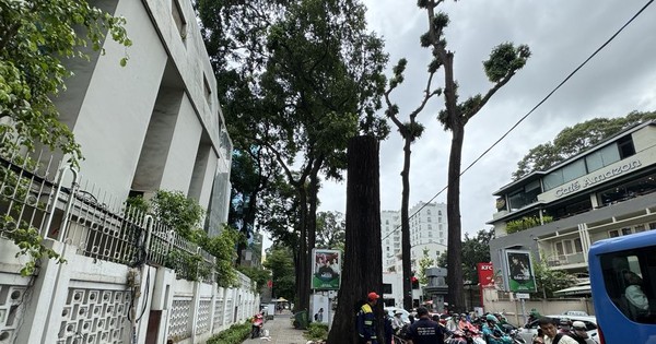 Ho-Chi-Minh-Stadt reagiert dringend auf Sturm Nr. 6 Tra Mi