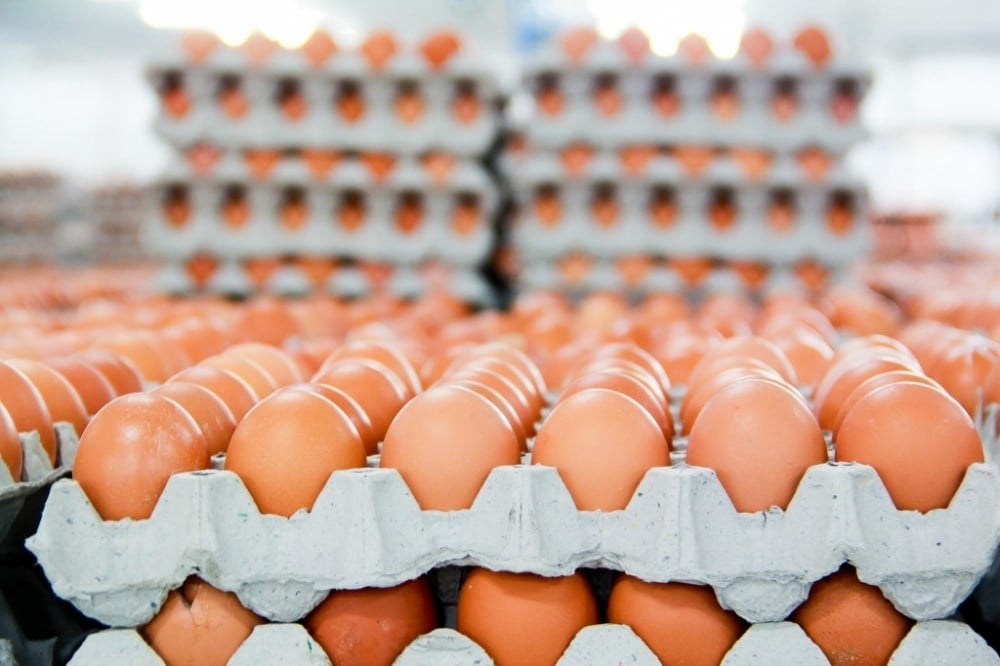 La cantidad de huevos de aves de corral exportados sólo representa el 1% de la producción.