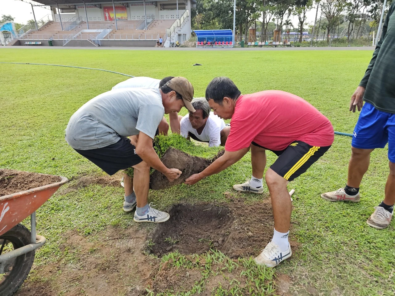 UBND huyện Long Điền chỉ đạo thay mặt cỏ sân Bàu Thành