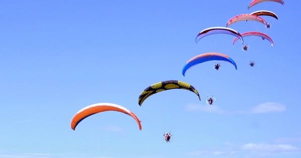 Genießen Sie die Paragliding-Vorführung auf dem Meer in Da Nang | Elektronische Zeitung Gia Lai