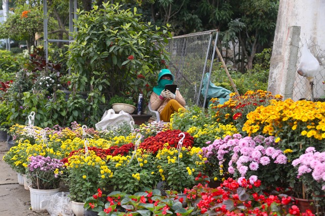 Espacio raro para vender flores y plantas ornamentales para el Tet, incluso con dinero es difícil alquilar foto 4