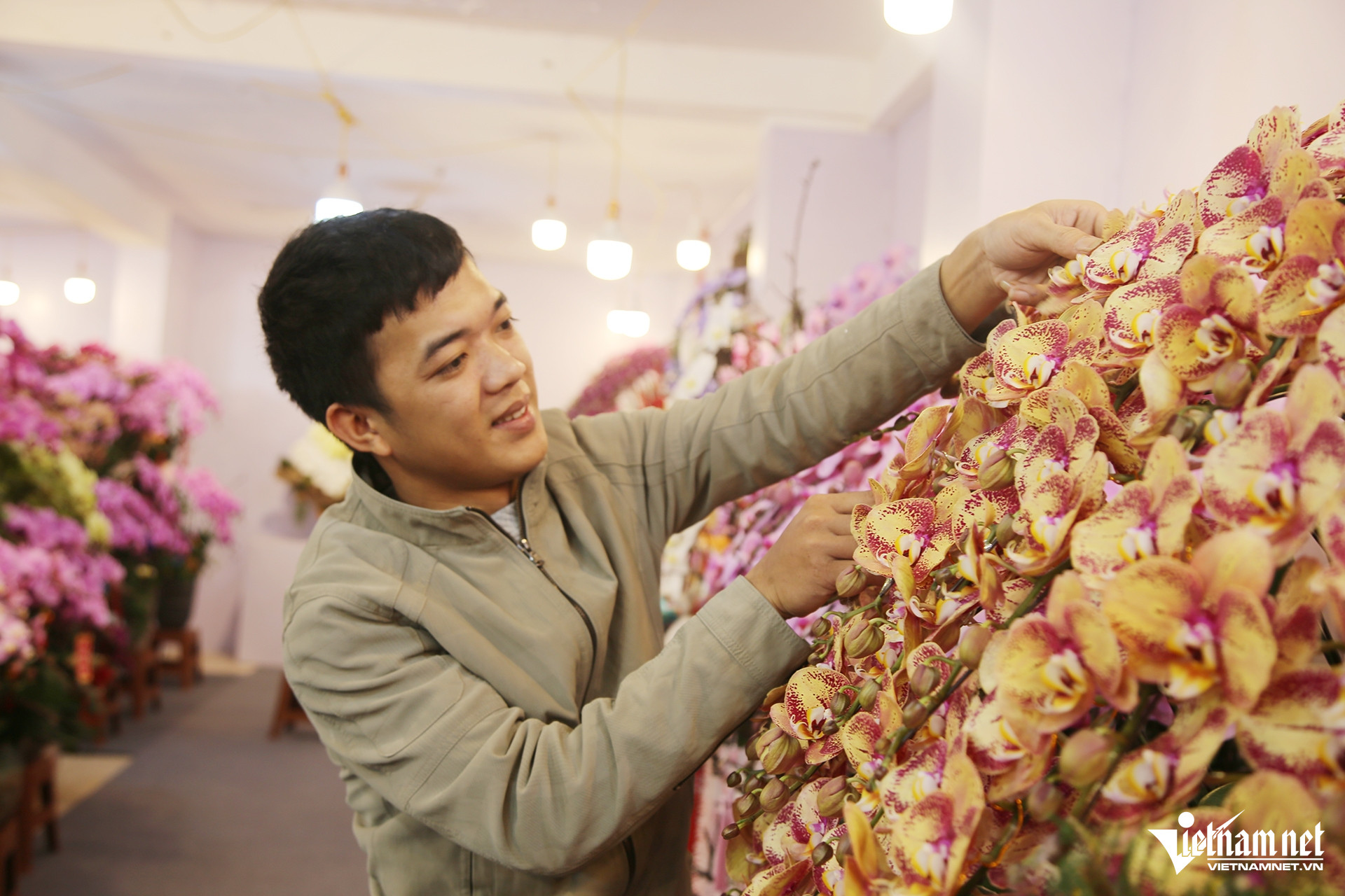 En comptant les branches pour collecter de l'argent, les producteurs d'orchidées empochent 3 millions de VND par jour