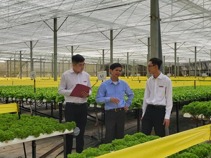 L'agriculture est le marché principal, les agriculteurs sont des compagnons - 2