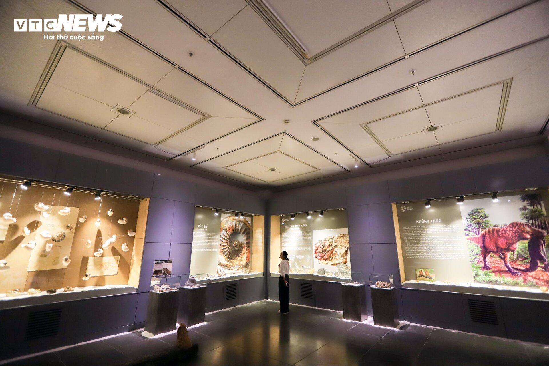 Close-up of billion-year-old fossils on display in Hanoi - 1