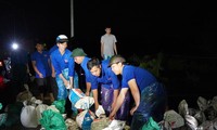 Jugendliche aus Hanoi arbeiten die ganze Nacht daran, Deiche zu verstärken und Menschen aus überfluteten Gebieten zu evakuieren