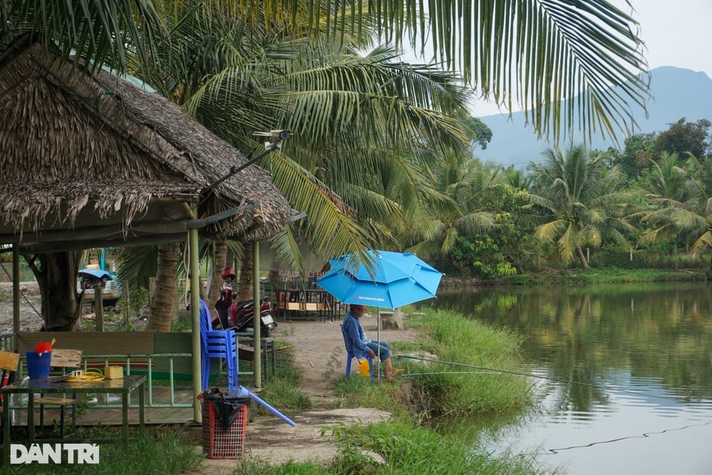 Phất lên trông thấy với loài cần thủ khoái săn - 3