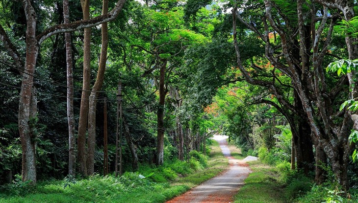 Vietnam's destinations won the WTA Awards 2023 - photo 16