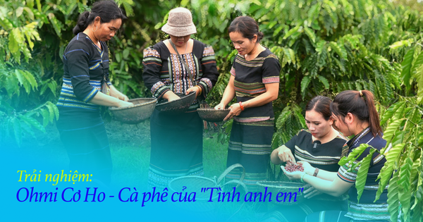 Ohmi Cơ Ho – Cà phê của “Tình anh em”