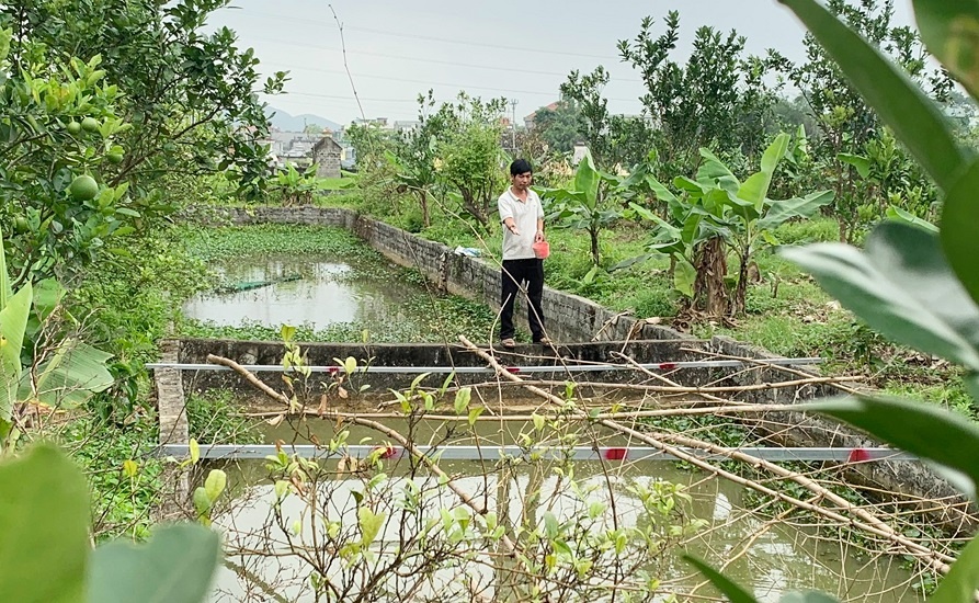 Cho vay theo Nghị quyết số 11, giúp phục hồi và phát triển kinh tế