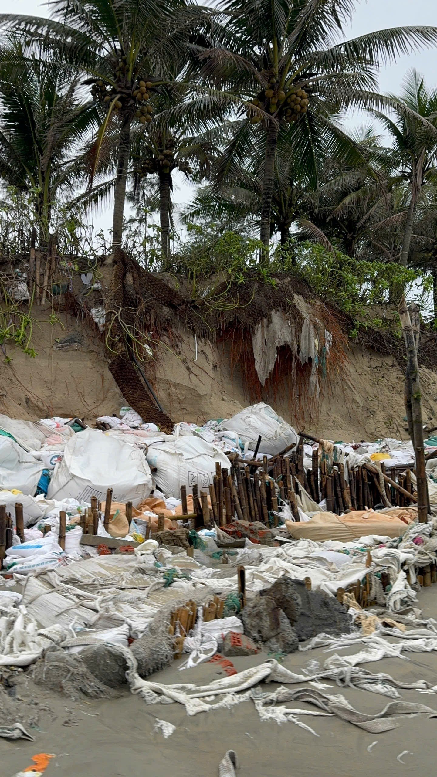 Primer plano del deslizamiento de tierra en la playa de Hoi An que obligó a declarar el estado de emergencia (foto 12)