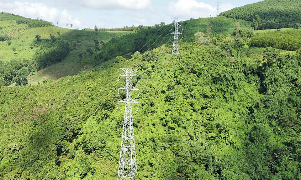 Impact temporaire sur la forêt pour la construction de la ligne 3 de 500 kV au Nord