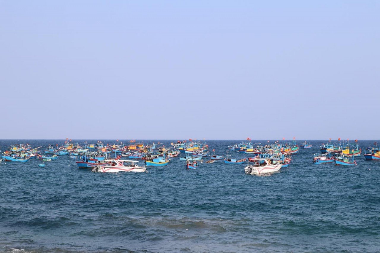 ‘Bỏ túi’ danh sách 4 làng chài đẹp như tranh vẽ ở Bình Định