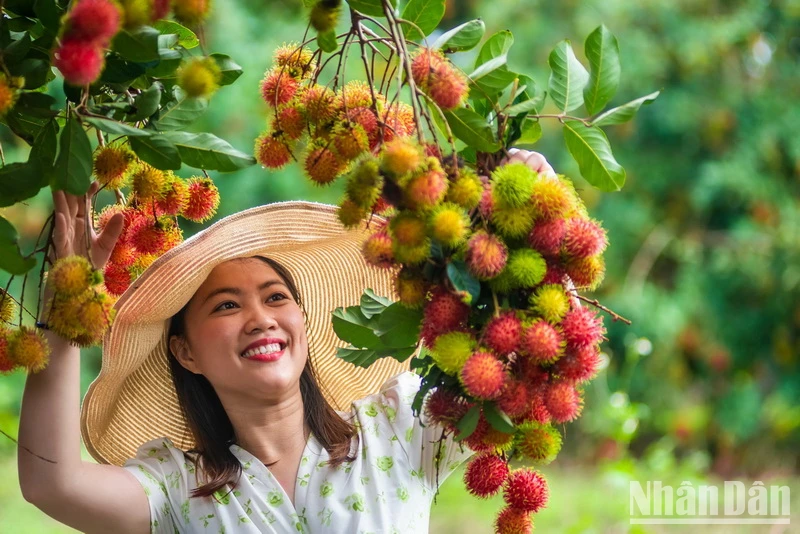 Lễ hội trái cây Long Khánh diễn ra từ ngày 12 đến 16/6