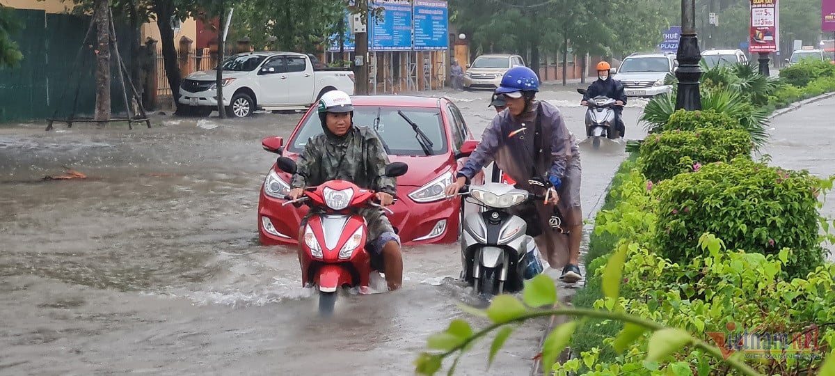 acheter quang binh hsam.jpg