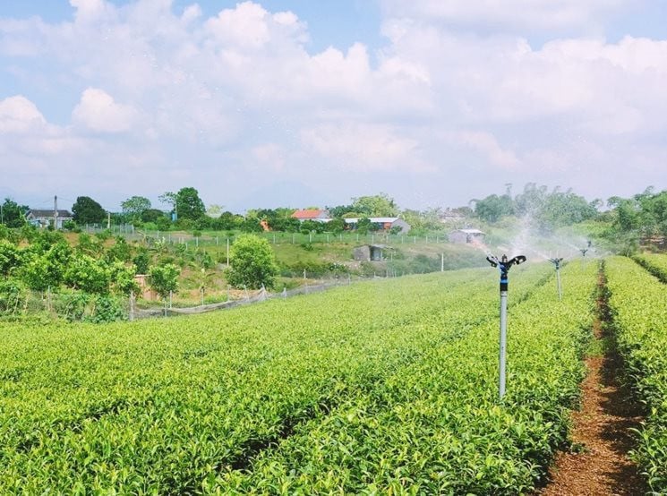 Experiencia en enriquecerse con las ventajas de las tierras agrícolas