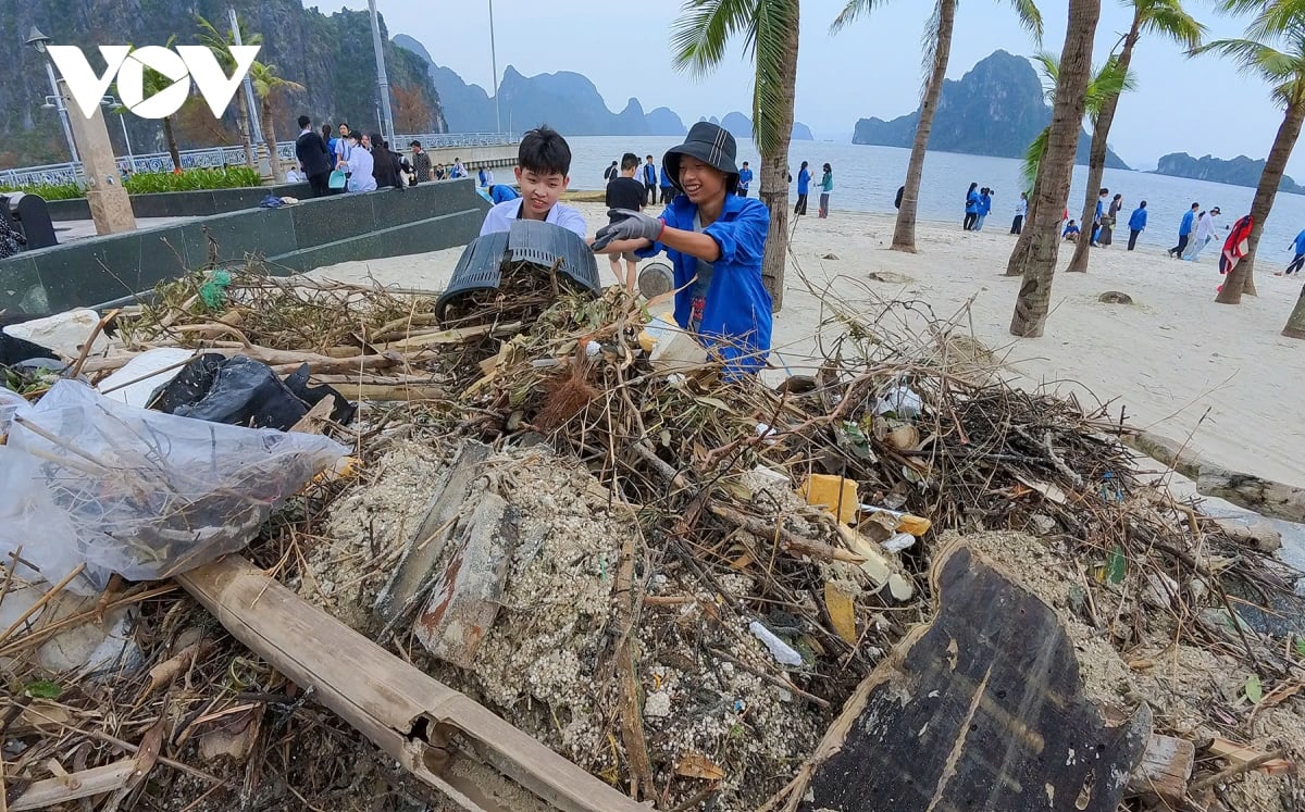 quang ninh tong ve sinh don dep bai bien va pho phuong hinh anh 11