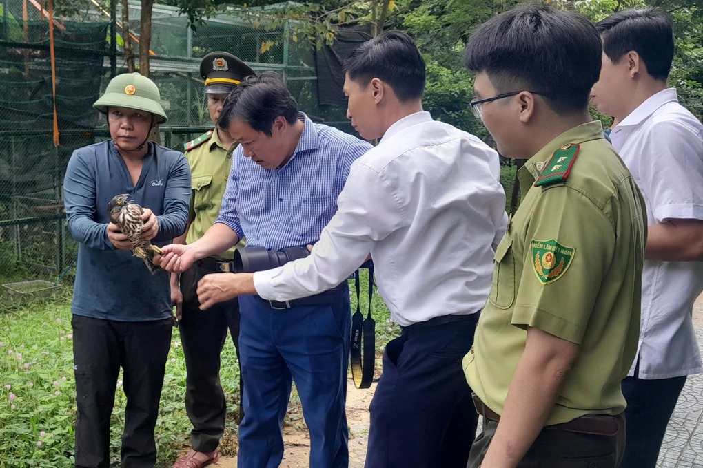 Quảng Bình: Thả 15 cá thể động vật hoang dã về môi trường tự nhiên - 1