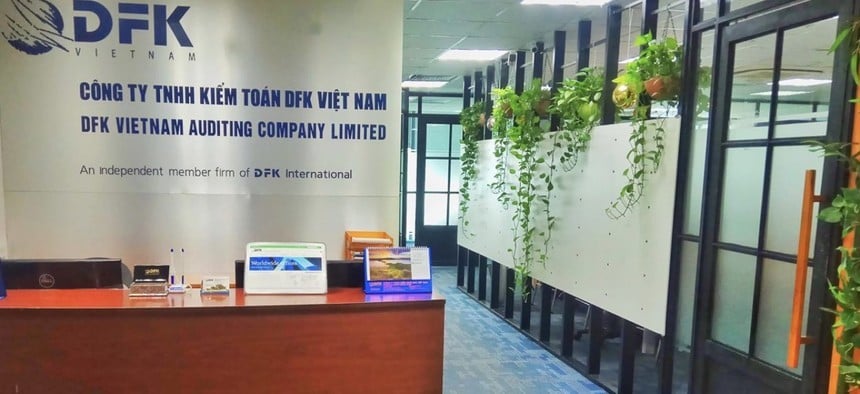 Why were Saigon Dai Ninh and Quoc Cuong Gia Lai auditing companies suspended?